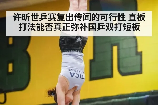 许昕世乒赛复出传闻的可行性 直板打法能否真正弥补国乒双打短板